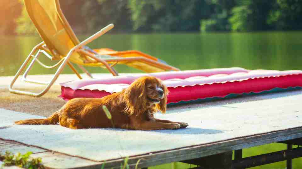 How long does a rabies vaccine last for foreign travel?