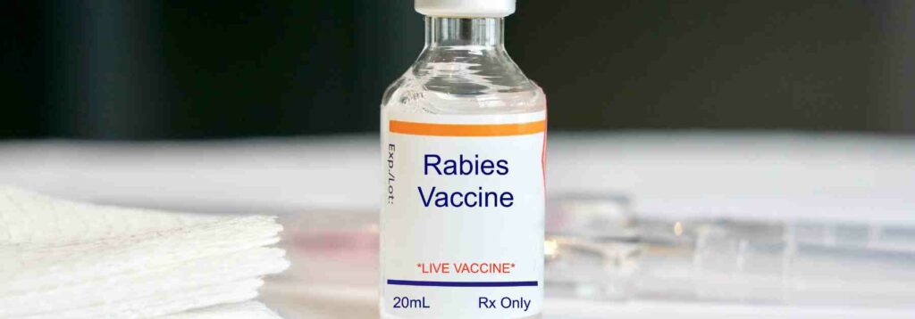 How Long Does the Rabies Vaccine Last - Townhead Pharmacy