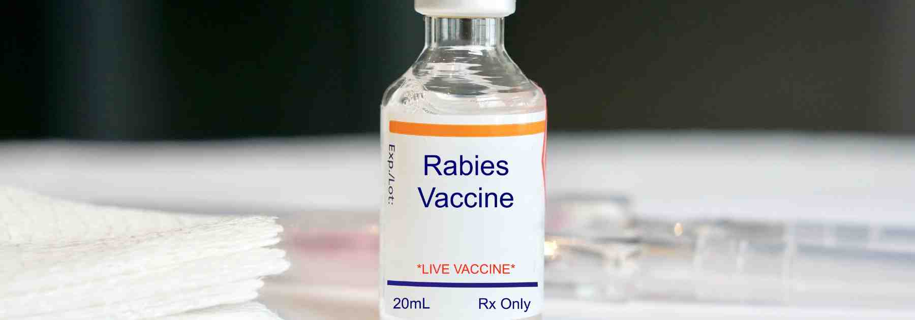 How long does the rabies vaccine last for travel?