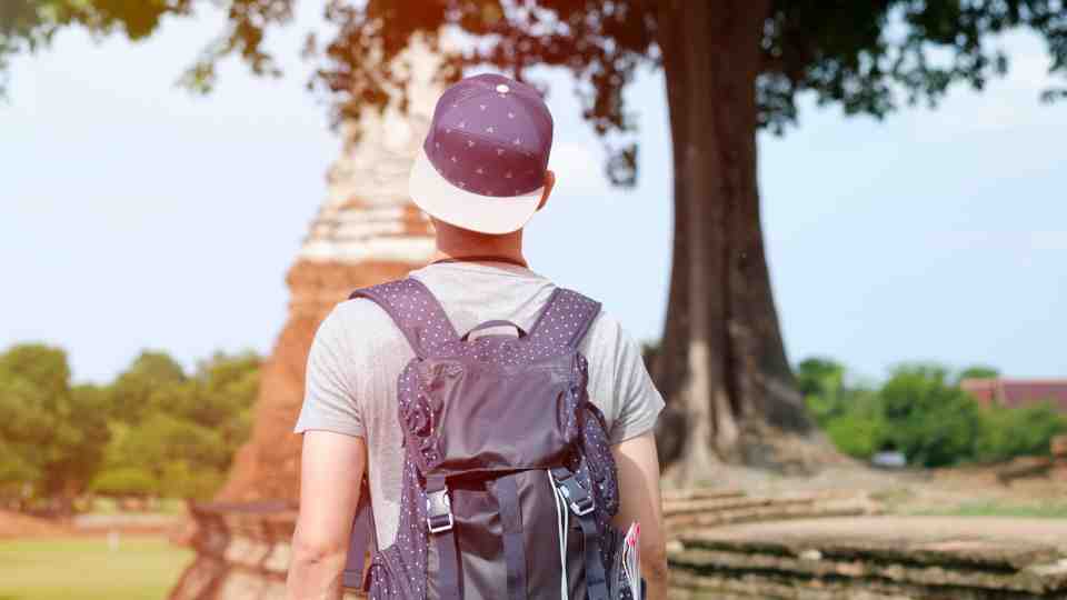 Do I need the Japanese encephalitis vaccine?