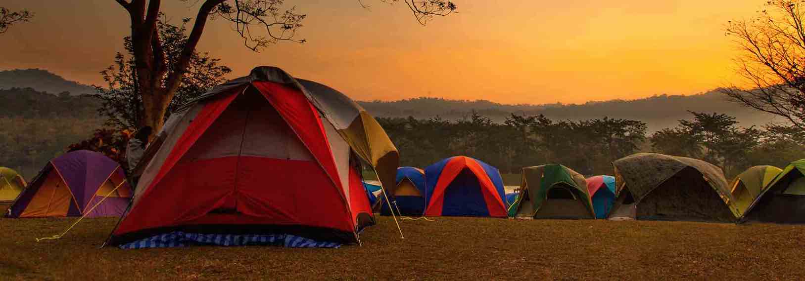 Get the Japanese encephalitis vaccine if you are camping in high-risk areas. 