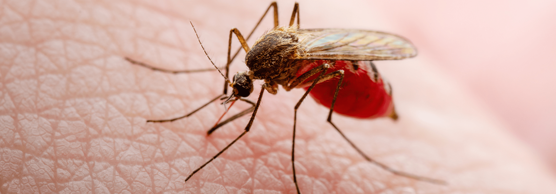 malaria tablets side effects