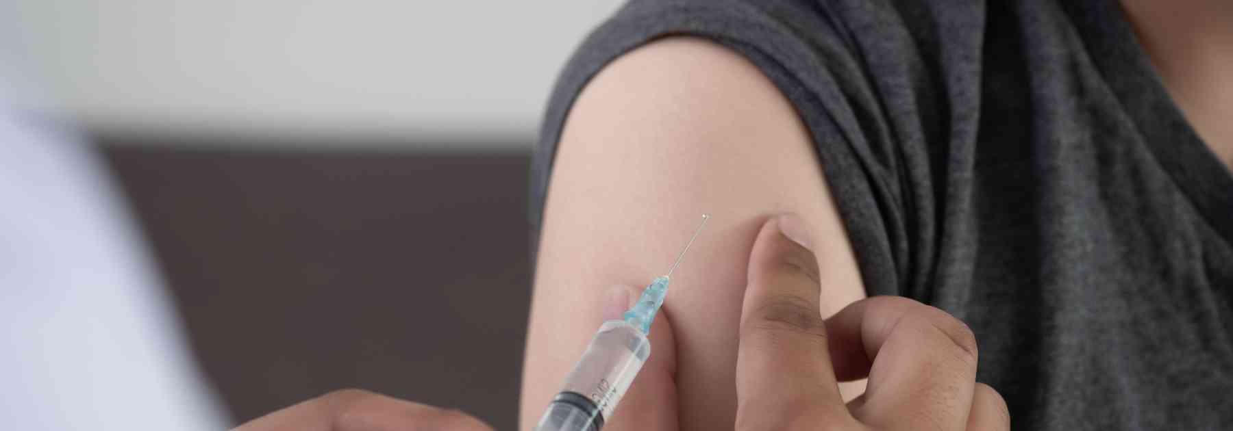 salmonella typhi treatment