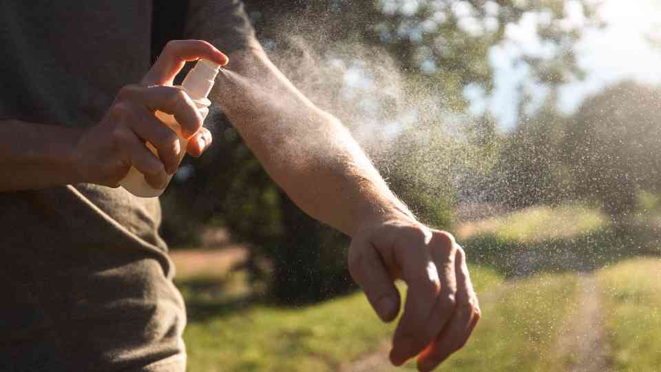deet insect repellent uk