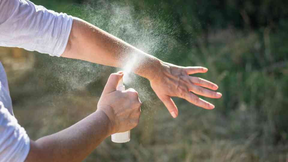 mosquito repellent near me