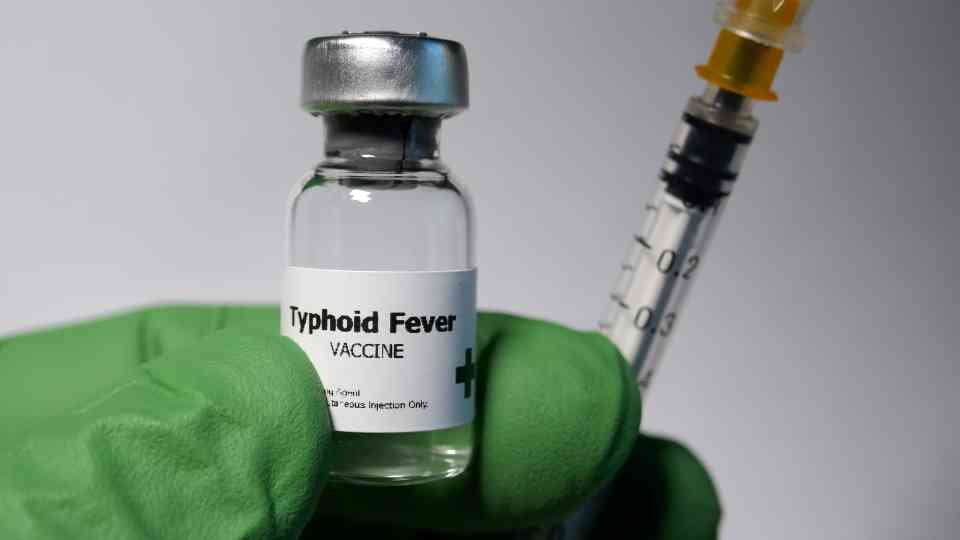salmonella typhi vaccine